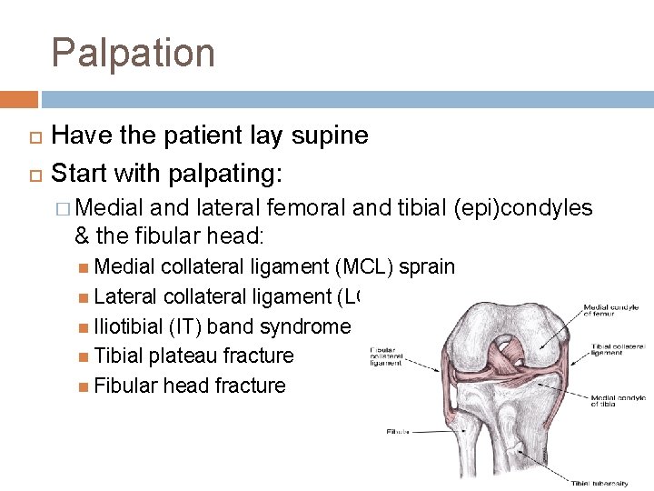 Palpation Have the patient lay supine Start with palpating: � Medial and lateral femoral