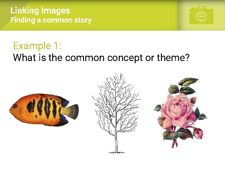 Linking Images Finding a common story Example 1: What is the common concept or