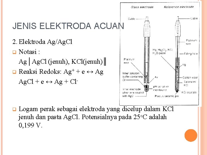 JENIS ELEKTRODA ACUAN 2. Elektroda Ag/Ag. Cl q Notasi : Ag│Ag. Cl (jenuh), KCl(jenuh)║