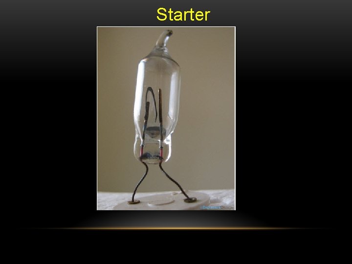 Starter 