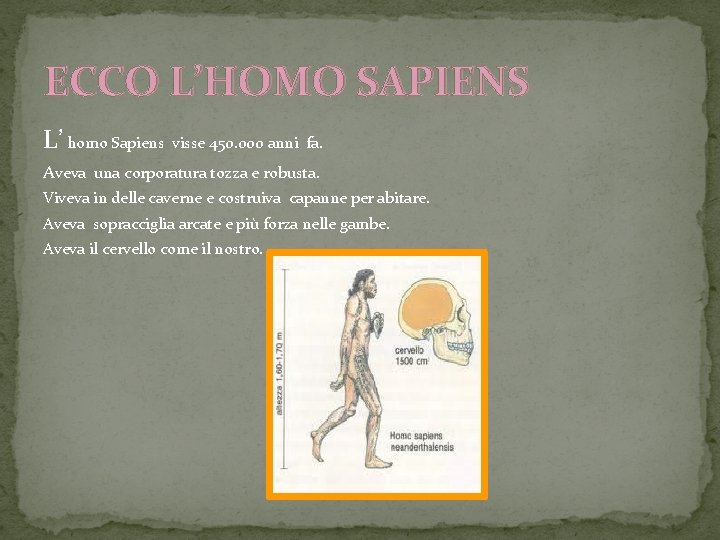 ECCO L’HOMO SAPIENS L’ homo Sapiens visse 450. 000 anni fa. Aveva una corporatura ECCO L’HOMO SAPIENS L’ homo Sapiens visse 450. 000 anni fa. Aveva una corporatura