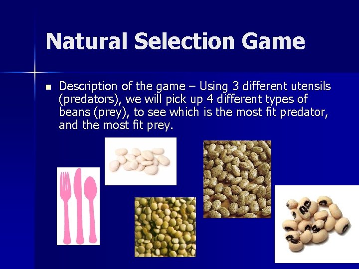 Natural Selection Game n Description of the game – Using 3 different utensils (predators),