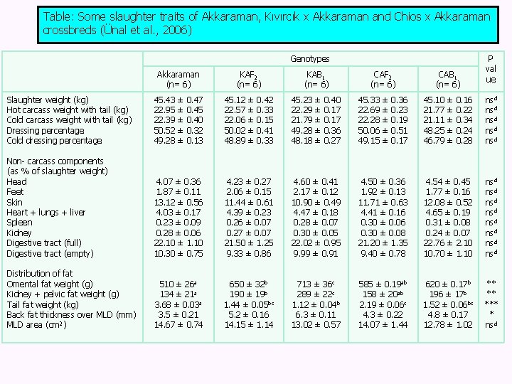 Table: Some slaughter traits of Akkaraman, Kıvırcık x Akkaraman and Chios x Akkaraman crossbreds