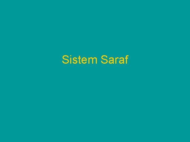 Sistem Saraf 