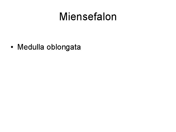 Miensefalon • Medulla oblongata 