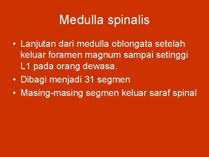 Medulla spinalis • Lanjutan dari medulla oblongata setelah keluar foramen magnum sampai setinggi L