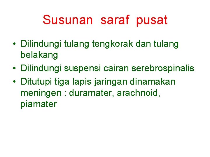 Susunan saraf pusat • Dilindungi tulang tengkorak dan tulang belakang • Dilindungi suspensi cairan