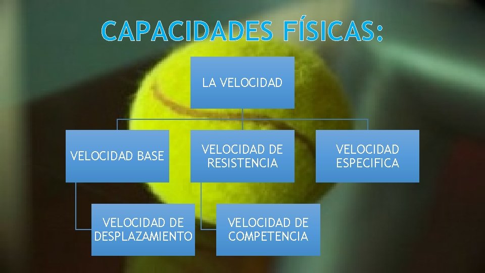 CAPACIDADES FÍSICAS: LA VELOCIDAD BASE VELOCIDAD DE DESPLAZAMIENTO VELOCIDAD DE RESISTENCIA VELOCIDAD DE COMPETENCIA