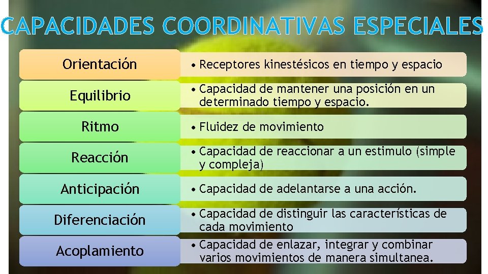 CAPACIDADES COORDINATIVAS ESPECIALES Orientación Equilibrio Ritmo Reacción Anticipación Diferenciación Acoplamiento • Receptores kinestésicos en