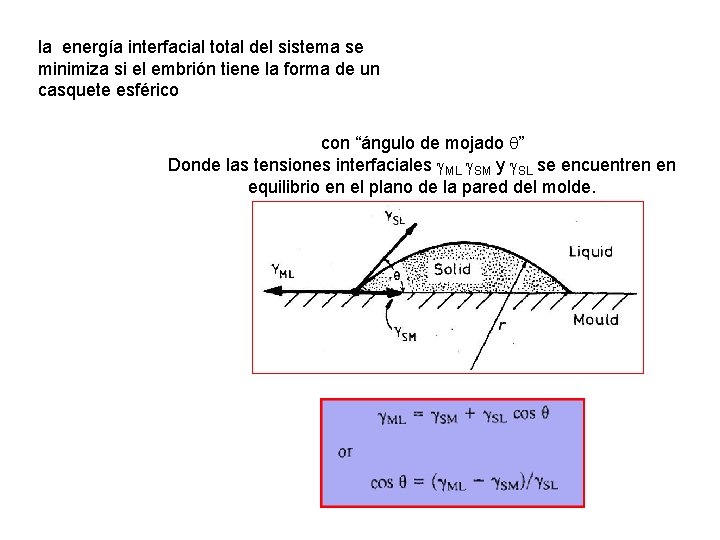la energía interfacial total del sistema se minimiza si el embrión tiene la forma