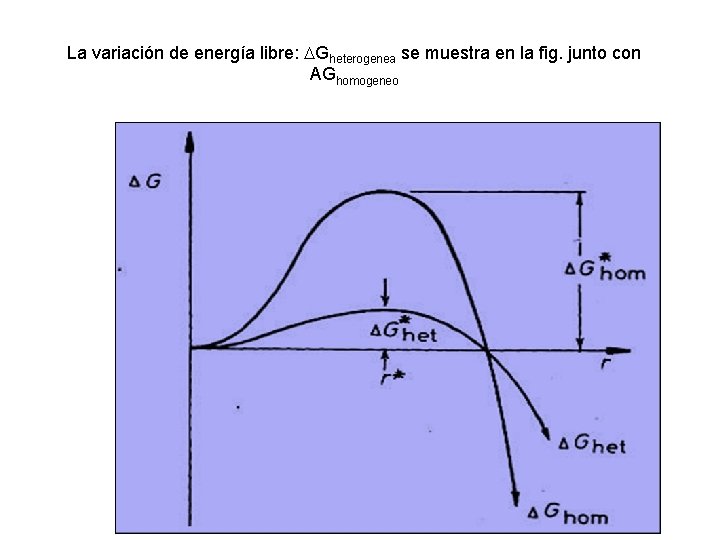 La variación de energía libre: Gheterogenea se muestra en la fig. junto con AGhomogeneo