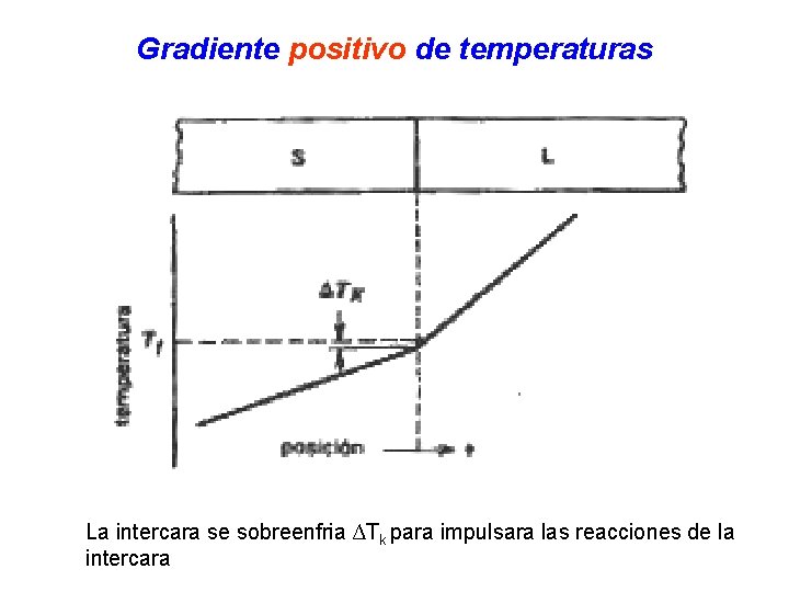 Gradiente positivo de temperaturas La intercara se sobreenfria ∆Tk para impulsara las reacciones de