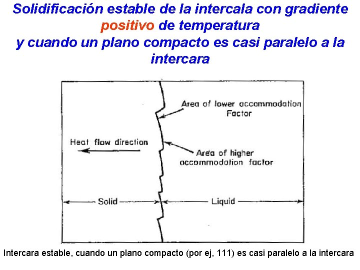Solidificación estable de la intercala con gradiente positivo de temperatura y cuando un plano