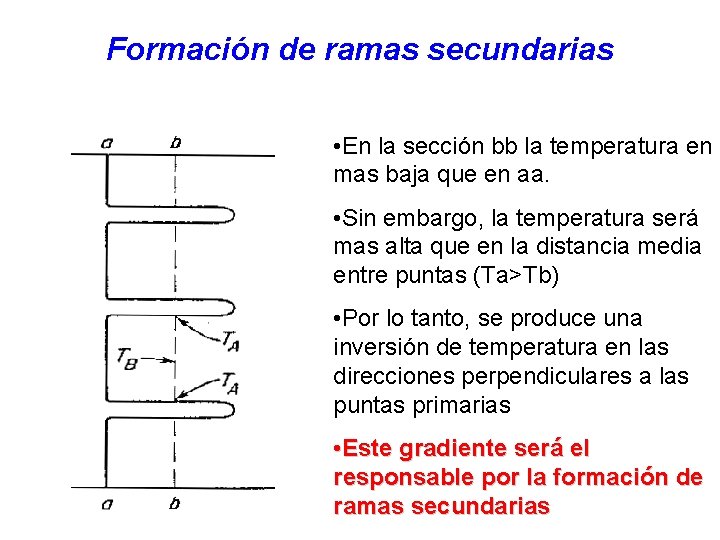 Formación de ramas secundarias • En la sección bb la temperatura en mas baja