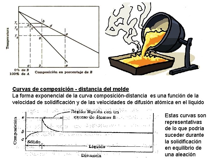 Curvas de composición - distancia del molde La forma exponencial de la curva composición-distancia