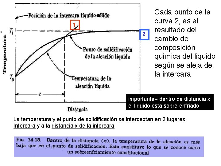 1 2 Cada punto de la curva 2, es el resultado del cambio de