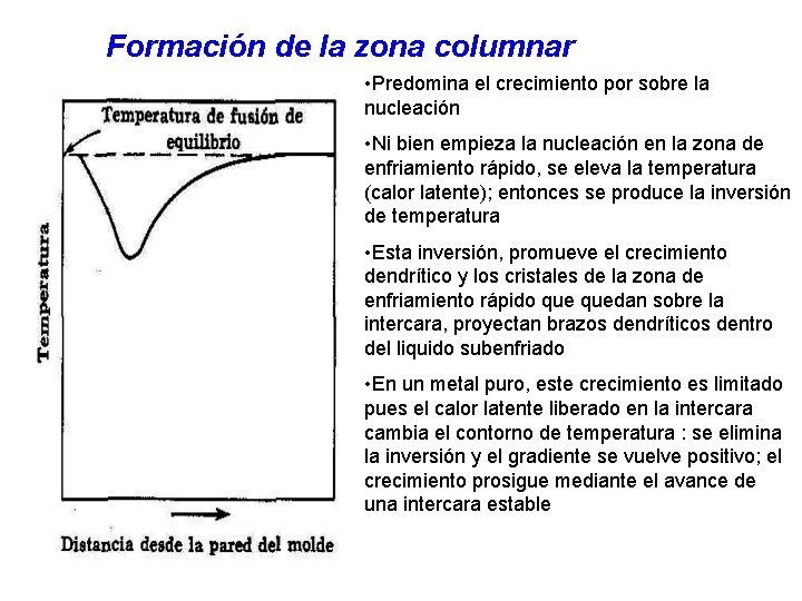 Formación de la zona columnar • Predomina el crecimiento por sobre la nucleación •