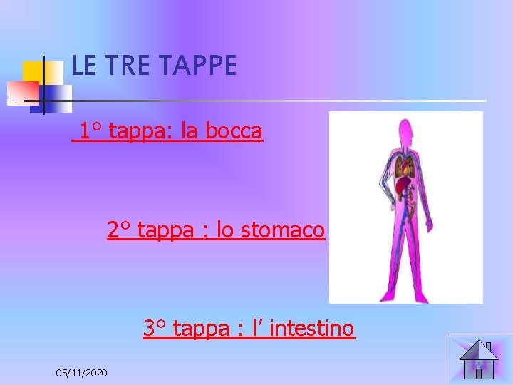 LE TRE TAPPE 1° tappa: la bocca 2° tappa : lo stomaco 3° tappa