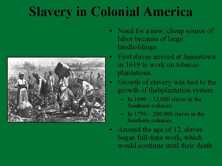 Slavery in Colonial America • Need for a new, cheap source of labor because