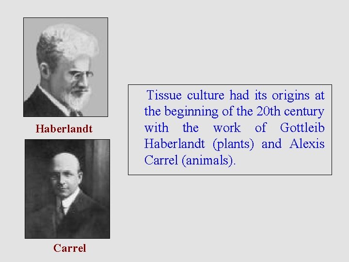 Haberlandt Carrel Tissue culture had its origins at the beginning of the 20 th