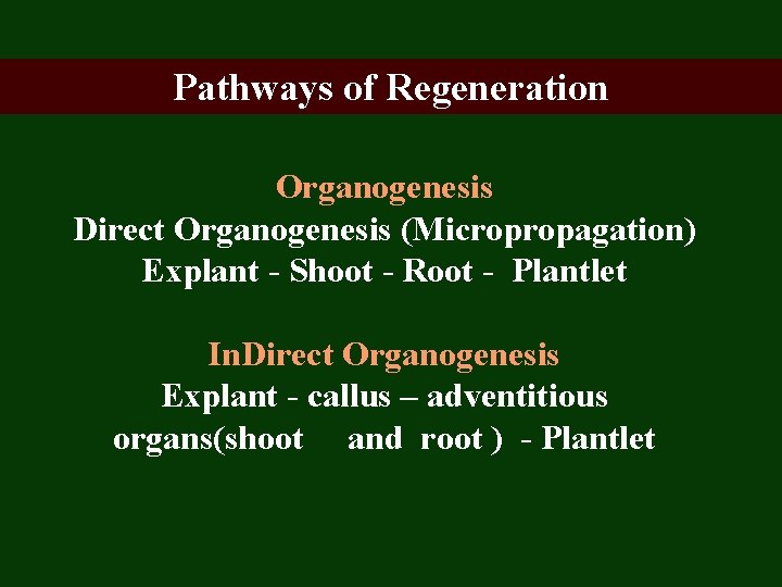 Pathways of Regeneration Organogenesis Direct Organogenesis (Micropropagation) Explant - Shoot - Root - Plantlet