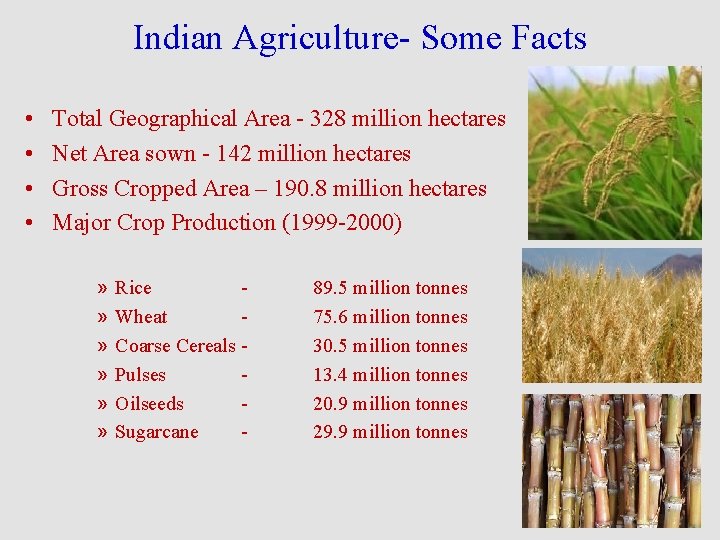 Indian Agriculture- Some Facts • • Total Geographical Area - 328 million hectares Net