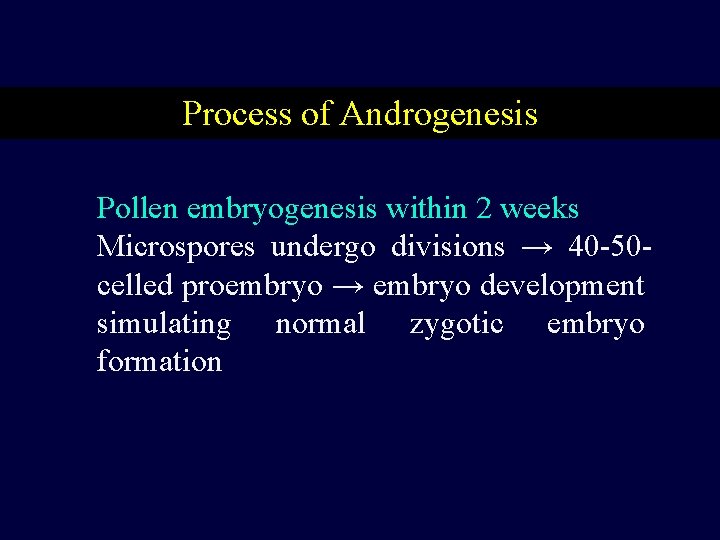 Process of Androgenesis Pollen embryogenesis within 2 weeks Microspores undergo divisions → 40 -50