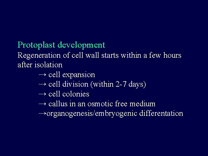 Protoplast development Regeneration of cell wall starts within a few hours after isolation →