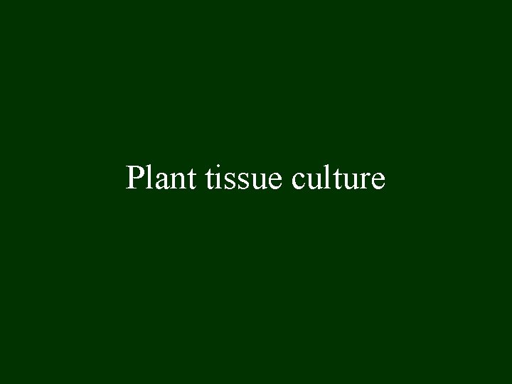Plant tissue culture 