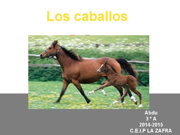 Los caballos Abdu 3ºA 2014 -2015 C. E. I. P LA ZAFRA 