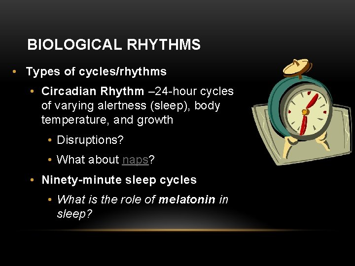 BIOLOGICAL RHYTHMS • Types of cycles/rhythms • Circadian Rhythm – 24 -hour cycles of