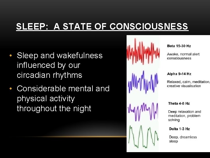 SLEEP: A STATE OF CONSCIOUSNESS • Sleep and wakefulness influenced by our circadian rhythms