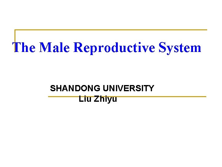 The Male Reproductive System SHANDONG UNIVERSITY Liu Zhiyu 