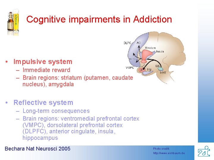 Cognitive impairments in Addiction • Impulsive system – Immediate reward – Brain regions: striatum