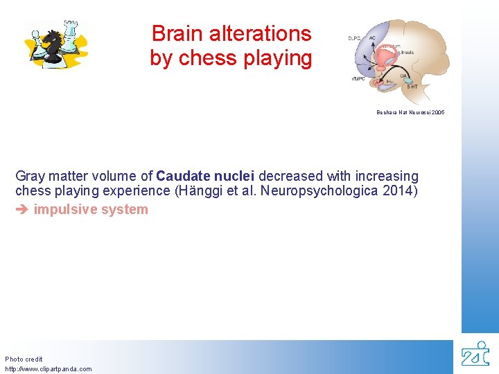 Brain alterations by chess playing Bechara Nat Neurosci 2005 Gray matter volume of Caudate