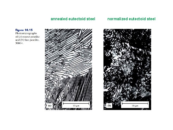 annealed eutectoid steel normalized eutectoid steel annealed eutectoid steel normalized eutectoid steel