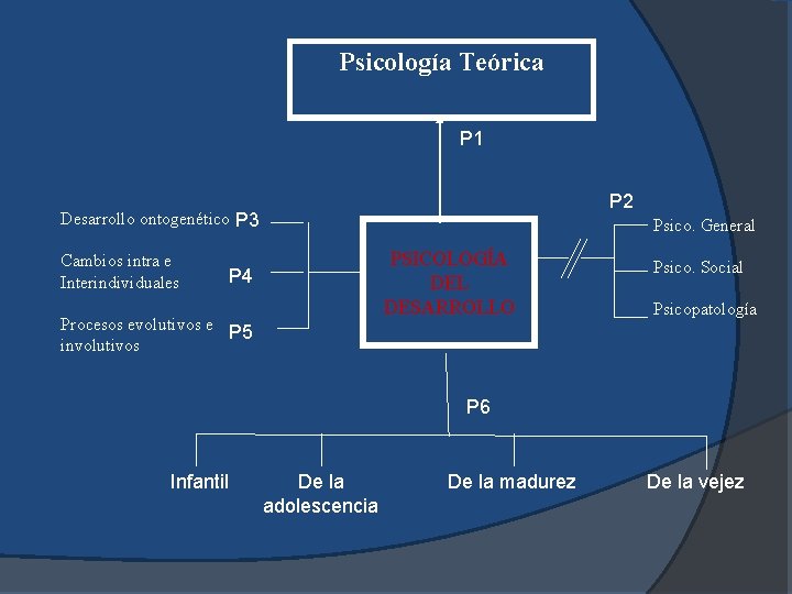 Psicología Teórica P 1 P 2 Desarrollo ontogenético P 3 Cambios intra e Interindividuales Psicología Teórica P 1 P 2 Desarrollo ontogenético P 3 Cambios intra e Interindividuales