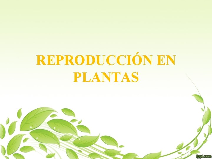 REPRODUCCIÓN EN PLANTAS 