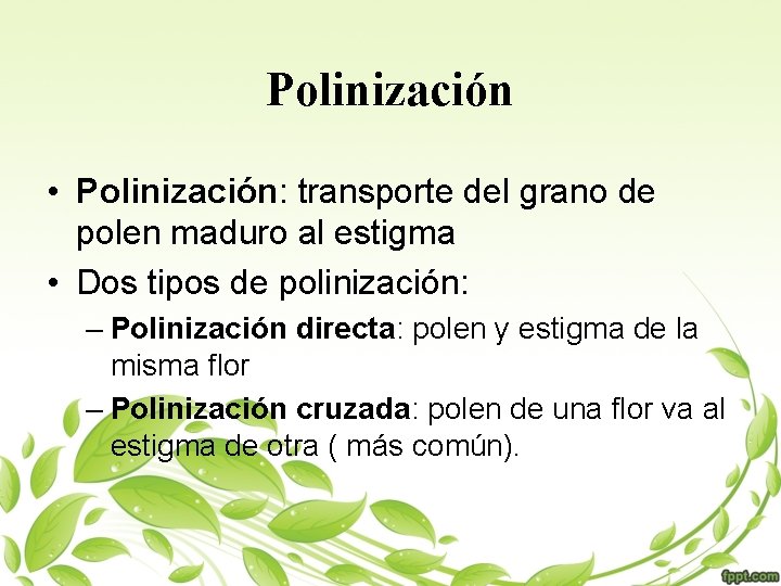 Polinización • Polinización: transporte del grano de polen maduro al estigma • Dos tipos