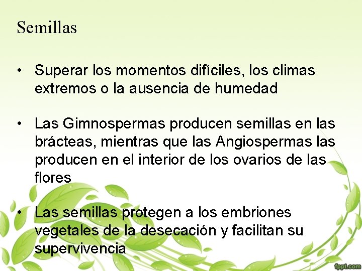 Semillas • Superar los momentos difíciles, los climas extremos o la ausencia de humedad