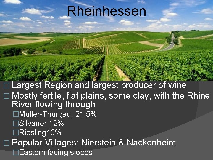 Rheinhessen � Largest Region and largest producer of wine � Mostly fertile, flat plains,