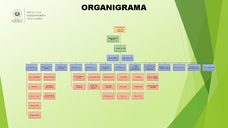 ORGANIGRAMA 