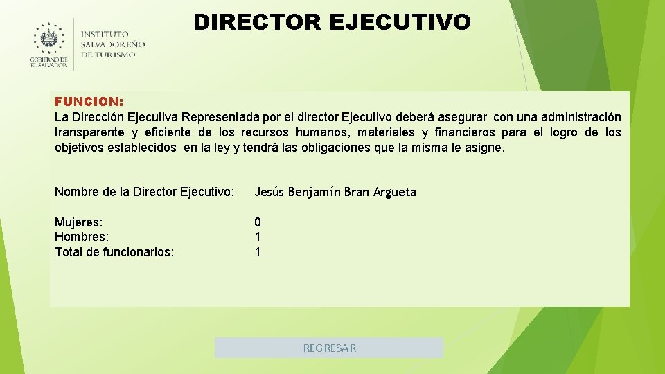 DIRECTOR EJECUTIVO FUNCION: La Dirección Ejecutiva Representada por el director Ejecutivo deberá asegurar con