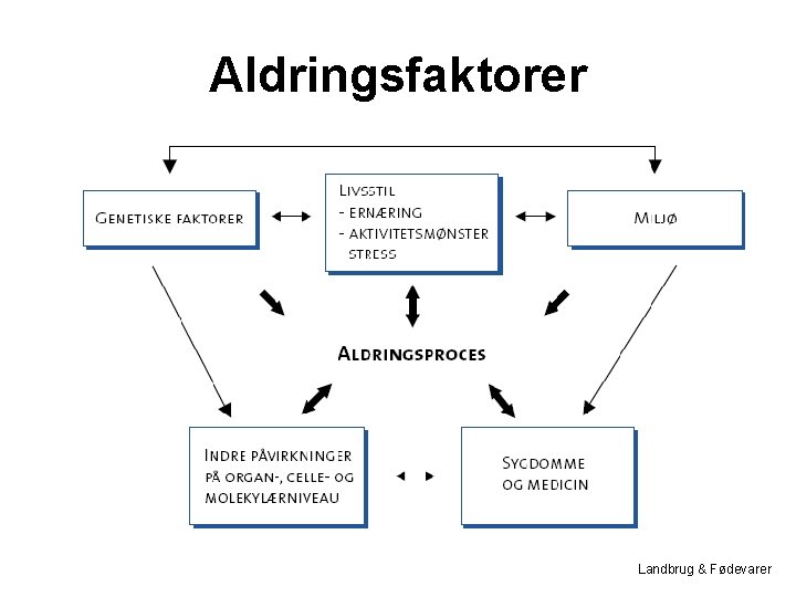 Aldringsfaktorer Landbrug & Fødevarer 