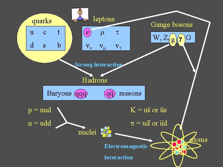 leptons quarks u c t e d e s b Gauge bosons W, Z,