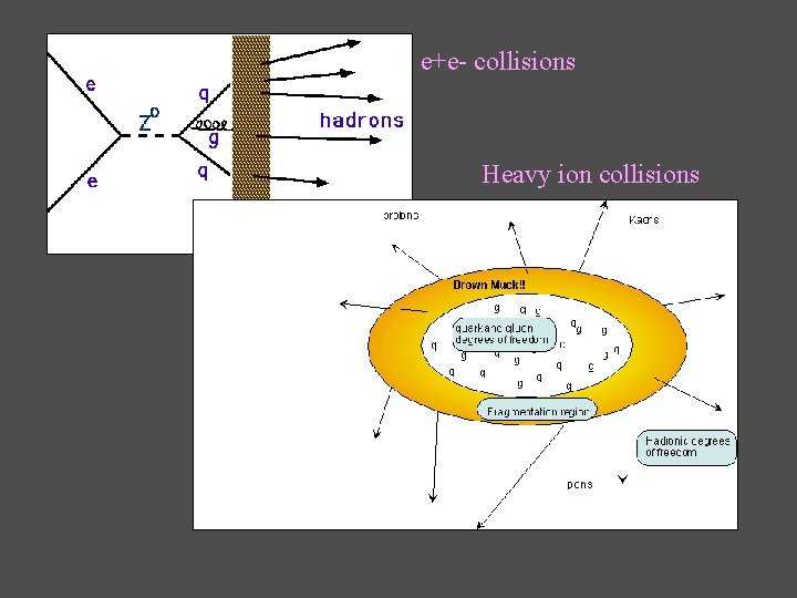 e+e- collisions Heavy ion collisions e+e- collisions Heavy ion collisions