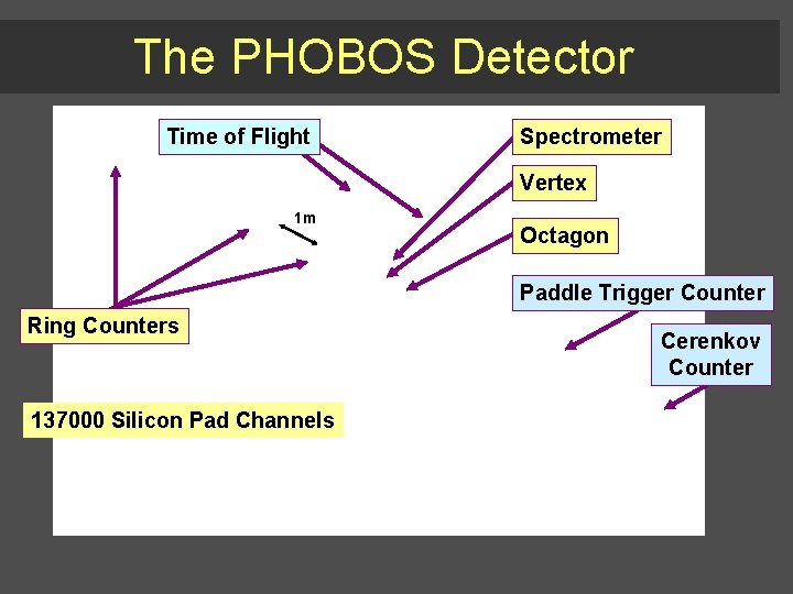 The PHOBOS Detector Time of Flight Spectrometer Vertex 1 m Octagon Paddle Trigger Counter