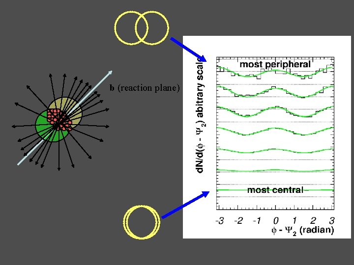 b (reaction plane) 