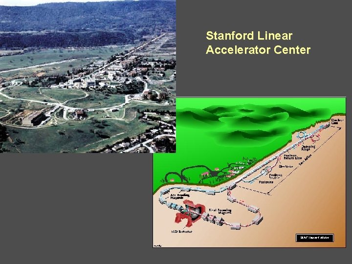 Stanford Linear Accelerator Center 