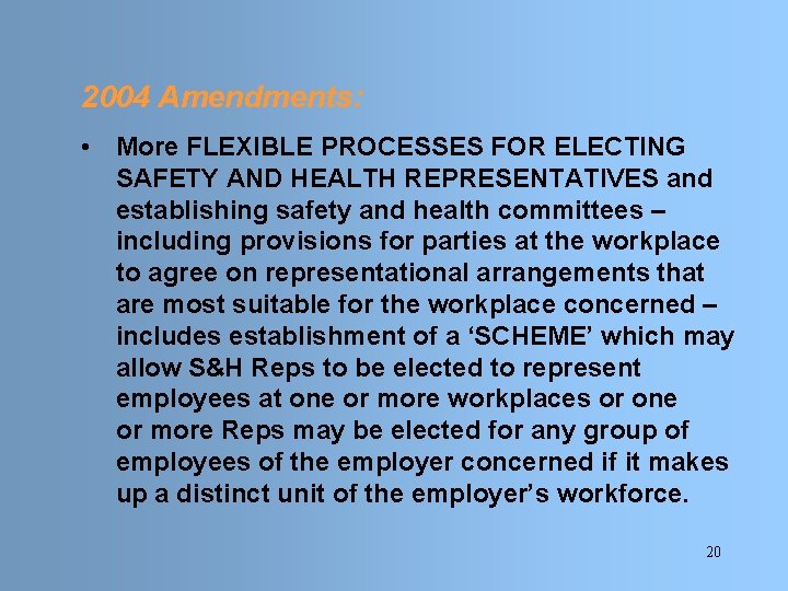 2004 Amendments: • More FLEXIBLE PROCESSES FOR ELECTING SAFETY AND HEALTH REPRESENTATIVES and establishing